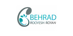 Behrad Grid Logo